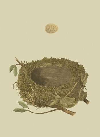 Antique Nest and Egg I