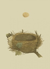 Antique Nest and Egg II