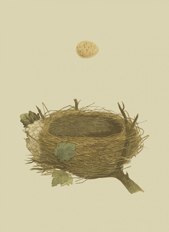 Antique Nest and Egg II