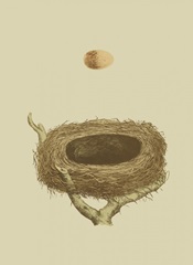 Antique Nest and Egg III