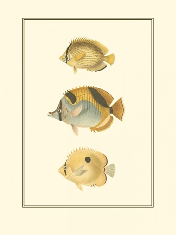 Antique Tropical Fish I