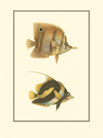 Antique Tropical Fish II