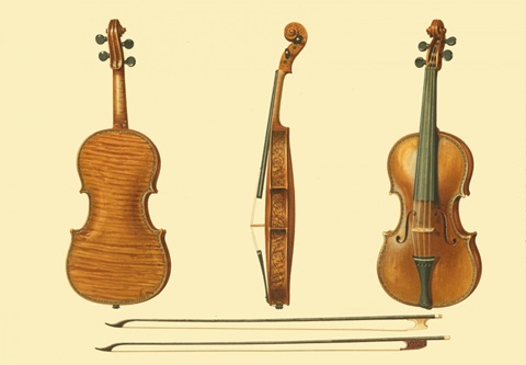 Antique Violins II