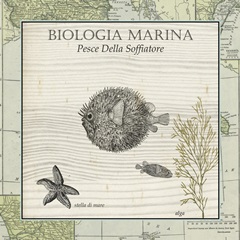 Biologia Marina II