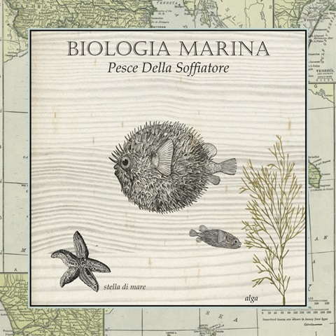 Biologia Marina II