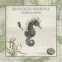 Biologia Marina III