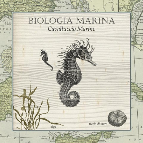 Biologia Marina III