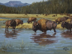 Buffalo Crossing