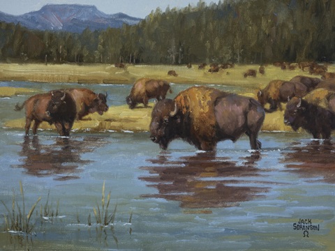 Buffalo Crossing