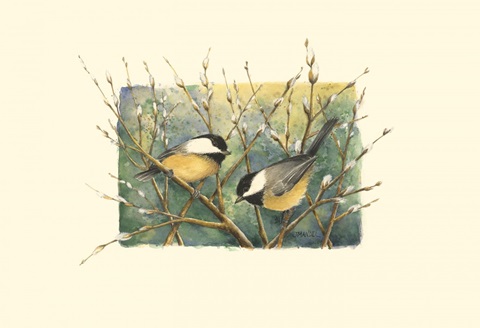 Chickadees and Pussy Willow
