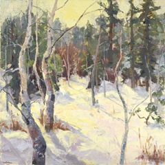 Four Seasons Aspens IV