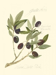 Gaeta Olives