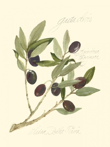 Gaeta Olives