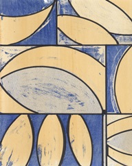 Indigo Complement IV