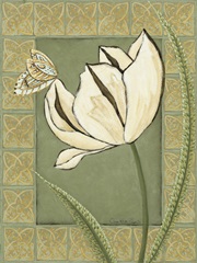 Ivory Tulip II