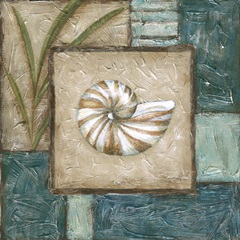 Large Shell Montage I