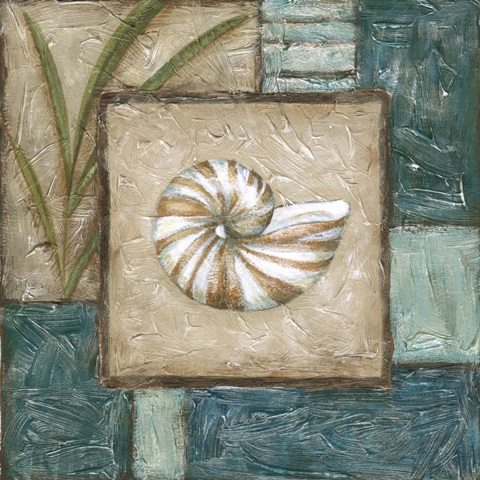 Large Shell Montage I