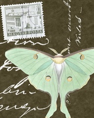 Le Papillon Script I