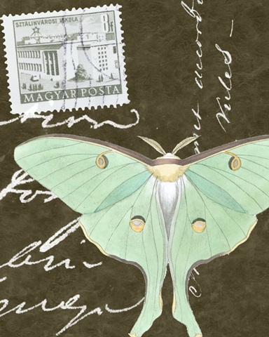 Le Papillon Script I