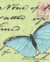 Le Papillon Script III