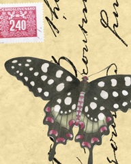Le Papillon Script IV