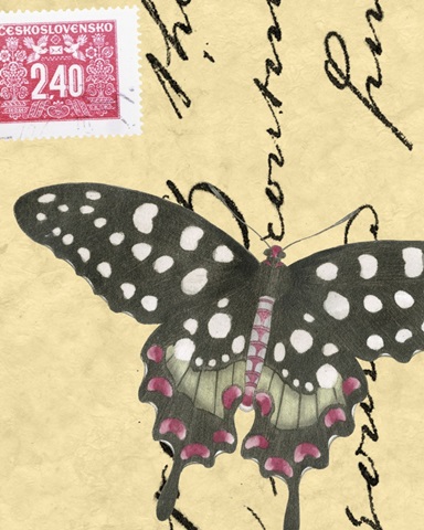Le Papillon Script IV