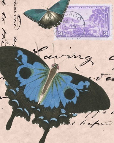 Le Papillon Script V