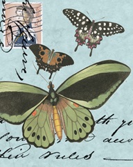 Le Papillon Script VI