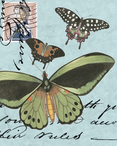 Le Papillon Script VI