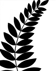 Leaf Silhouette I