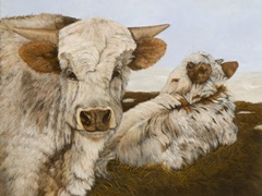 Let The Good Times Roll