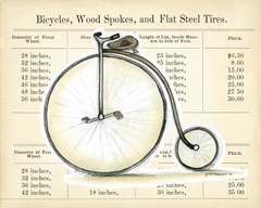 Let's Go For a Spin I