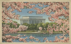 Lincoln Memorial and Cherry Blossoms