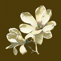 Magnolia on Taupe I