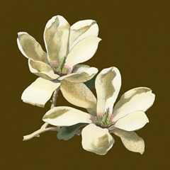 Magnolia on Taupe II