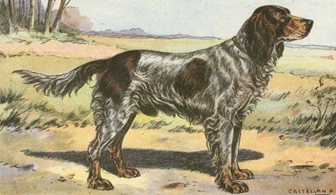 Man's Best Friend II