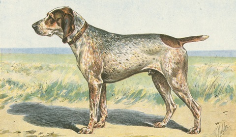 Man's Best Friend III