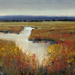 Marsh Land I