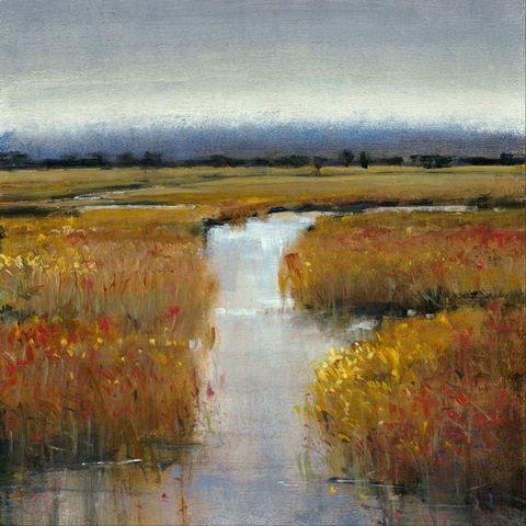 Marsh Land II