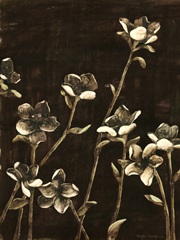 Medium Blossom Nocturne II