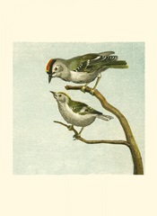 Mini Vintage Birds II