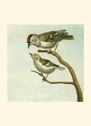 Mini Vintage Birds II