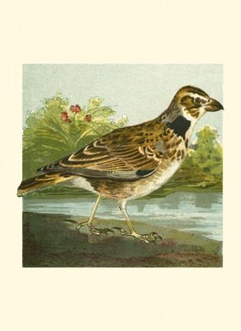 Mini Vintage Birds III