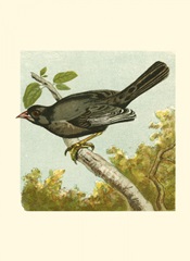 Mini Vintage Birds IV