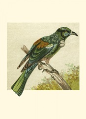 Mini Vintage Birds IX