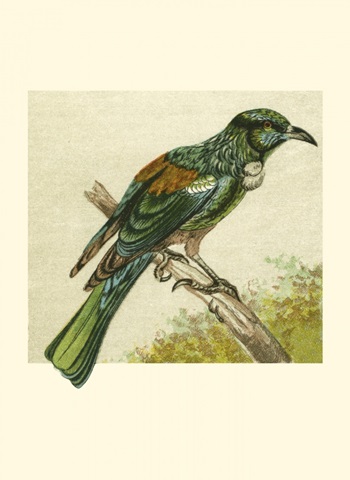 Mini Vintage Birds IX