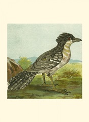 Mini Vintage Birds V