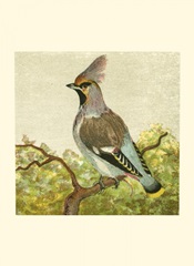 Mini Vintage Birds VIII