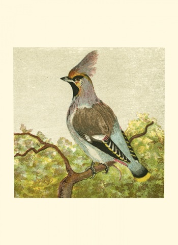 Mini Vintage Birds VIII