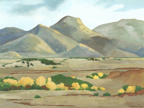 Mini Western Vista V